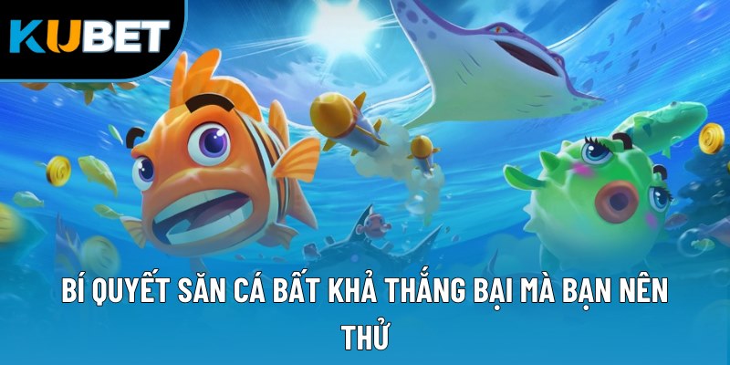 Bí quyết săn cá bất khả thắng bại mà bạn nên thử