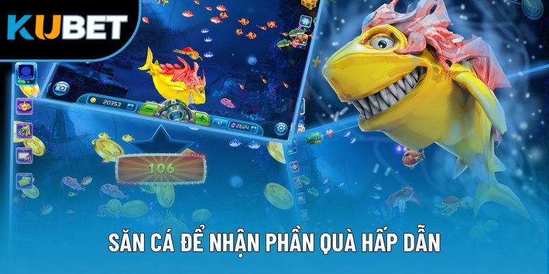 Săn cá để nhận phần quà hấp dẫn