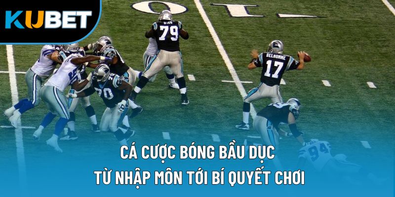 Cá Cược Bóng Bầu Dục | Từ Nhập Môn Tới Bí Quyết Chơi