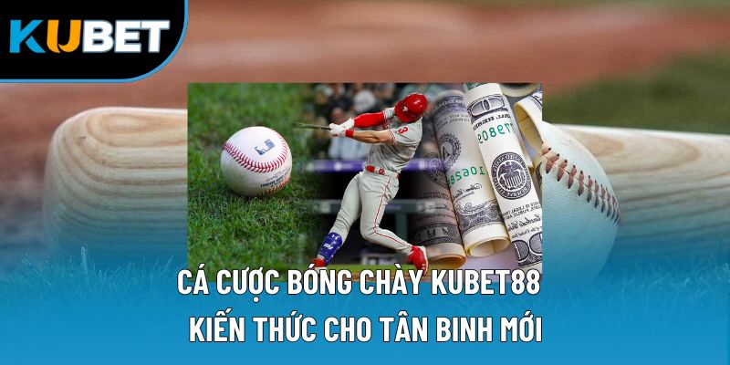 Cá Cược Bóng Chày Kubet88 | Kiến Thức Cho Tân Binh Mới