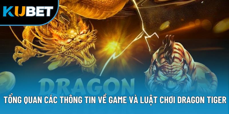 Tổng quan các thông tin về game và luật chơi Dragon Tiger
