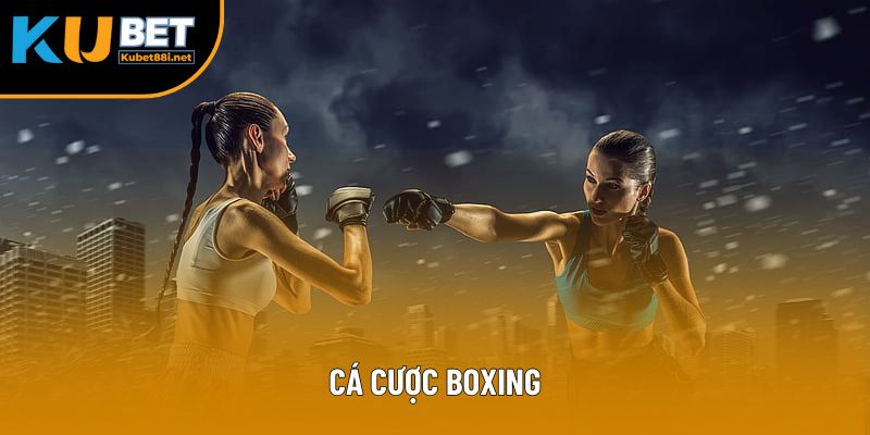 Cá Cược Boxing: Bí Quyết Thắng Lớn Bet Thủ Không Thể Bỏ Qua