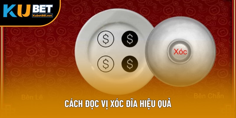 Cách Đọc Vị Xóc Đĩa Hiệu Quả Mà Người Chơi Cần Biết Năm 2025